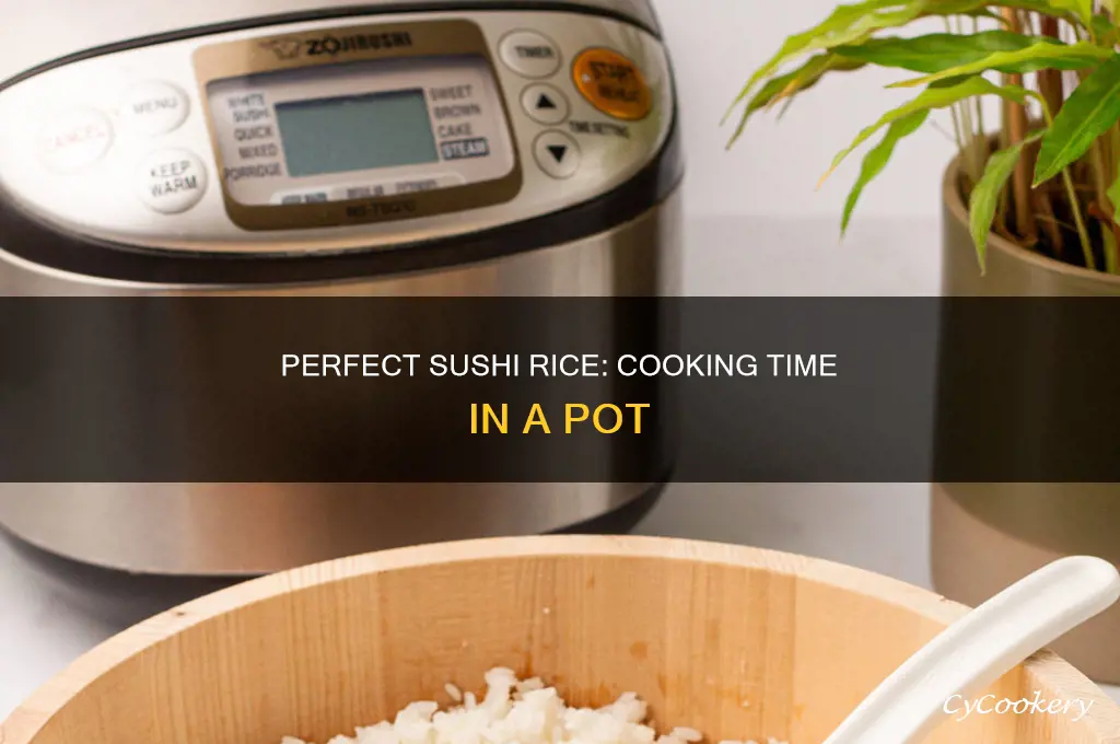 how long to cook sushi rice in a pot