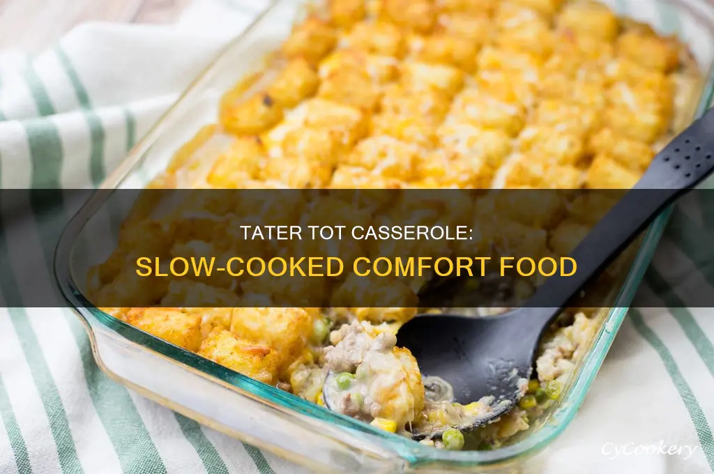 how long to cook tater tot cass in crock pot