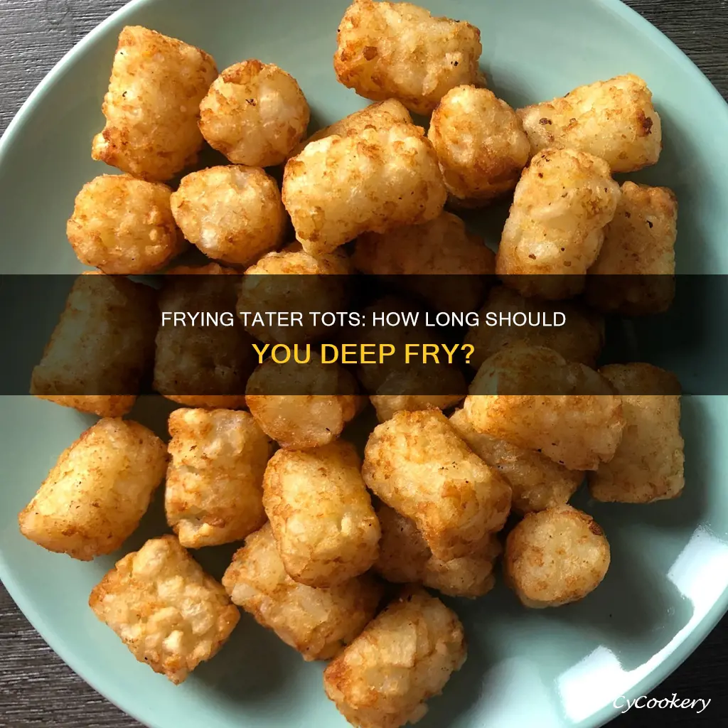 how long to cook tater tots in a deep fryer