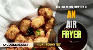 Air Fryer Tater Tots: Perfect Timing for Crispy Treats