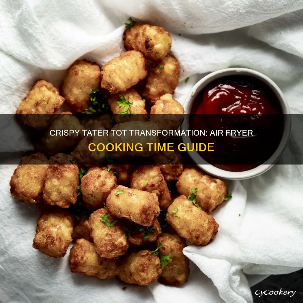 how long to cook tator tots in air fryer