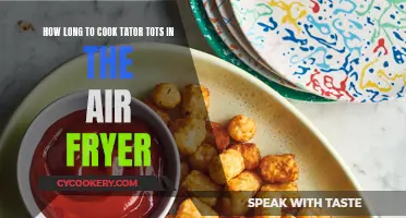 Air Fryer Tater Tots: Cooking Time Perfection