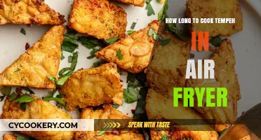 Tempeh Transformation: Air Fryer Cooking Time Tips