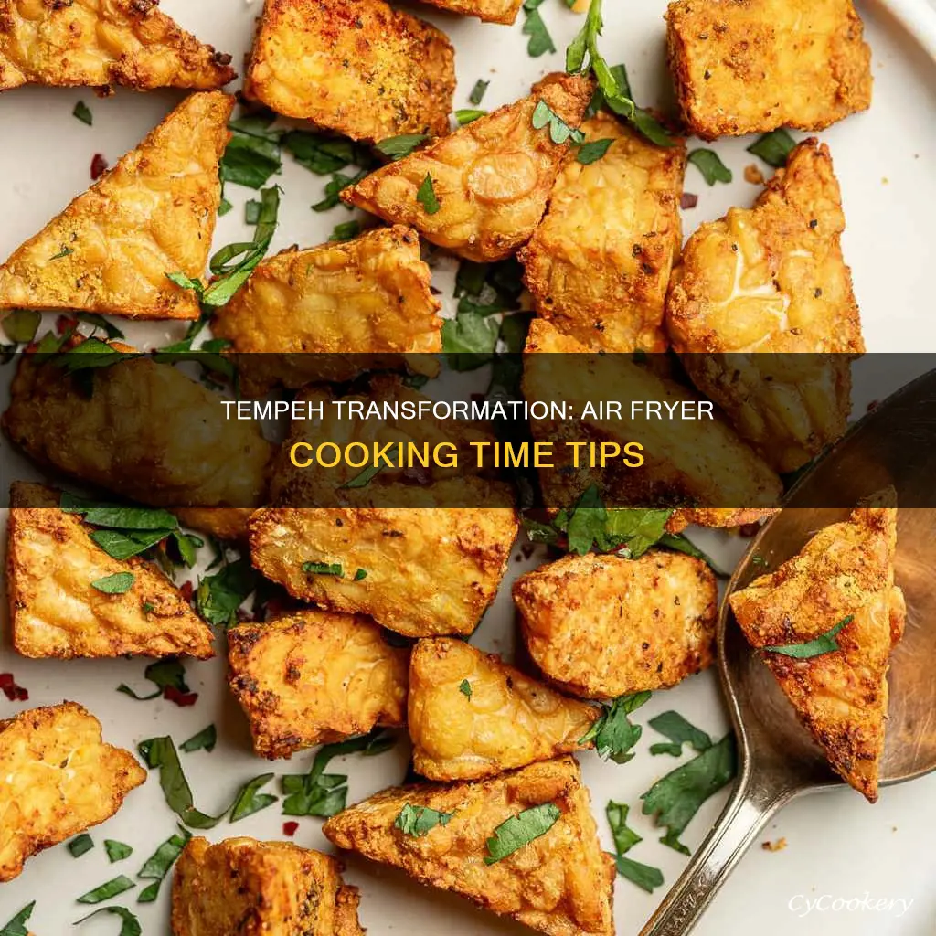 how long to cook tempeh in air fryer