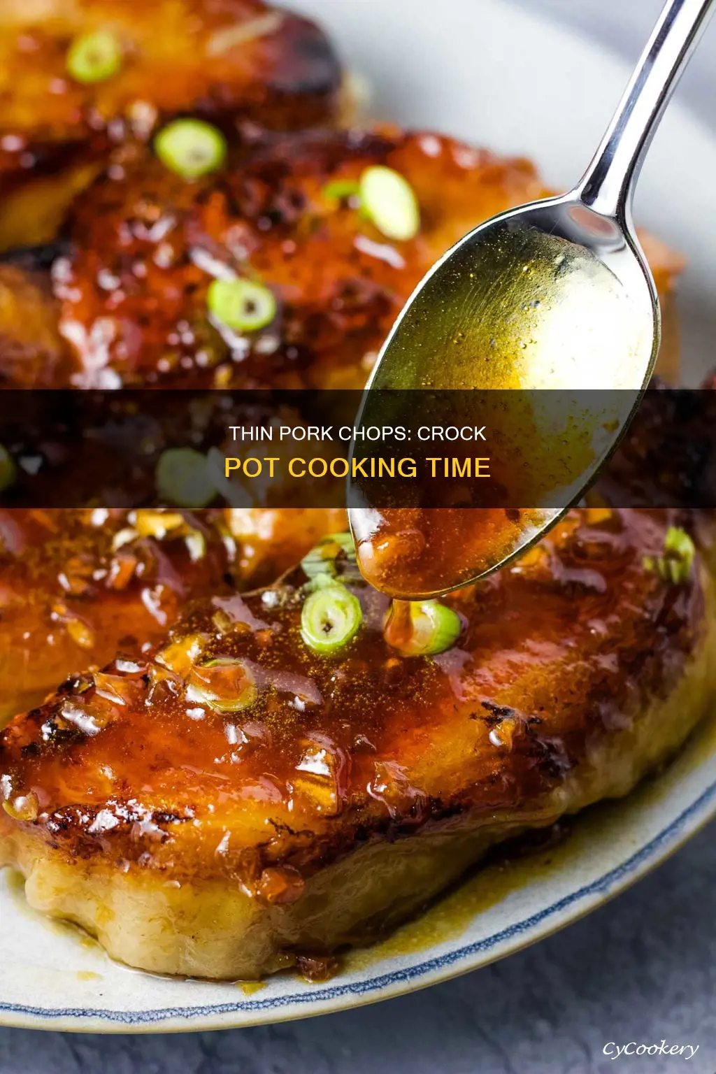 how long to cook thin pork chops in crock pot