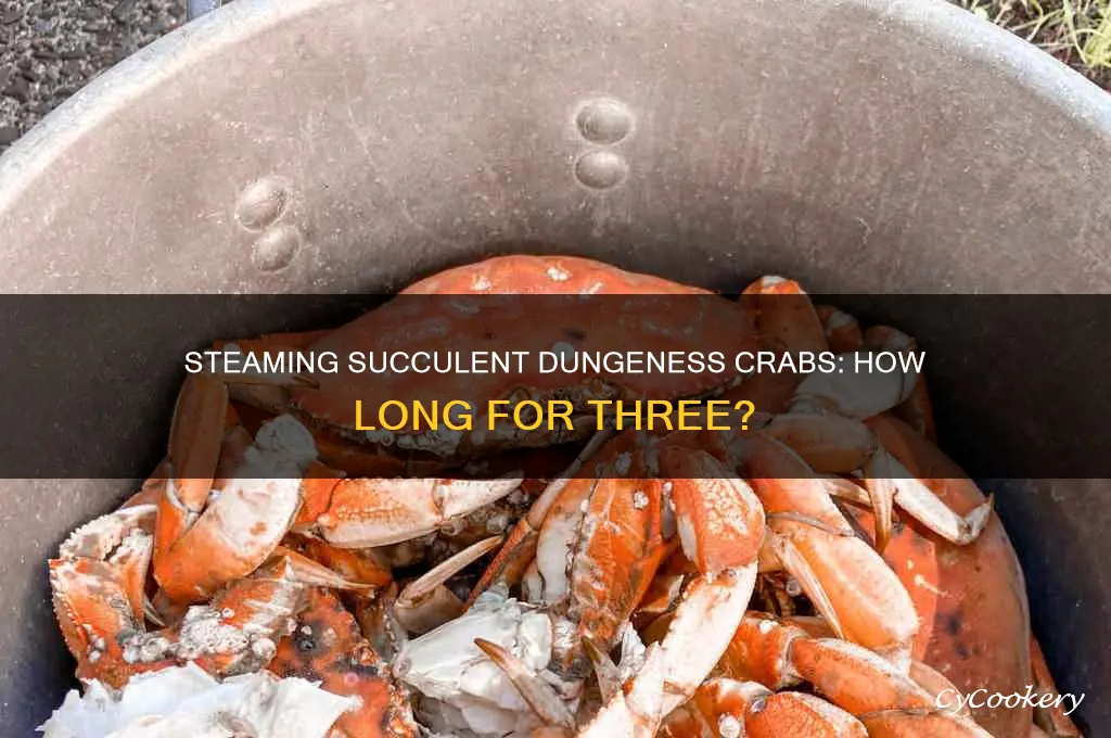 how long to cook three dungeness crab in a pot