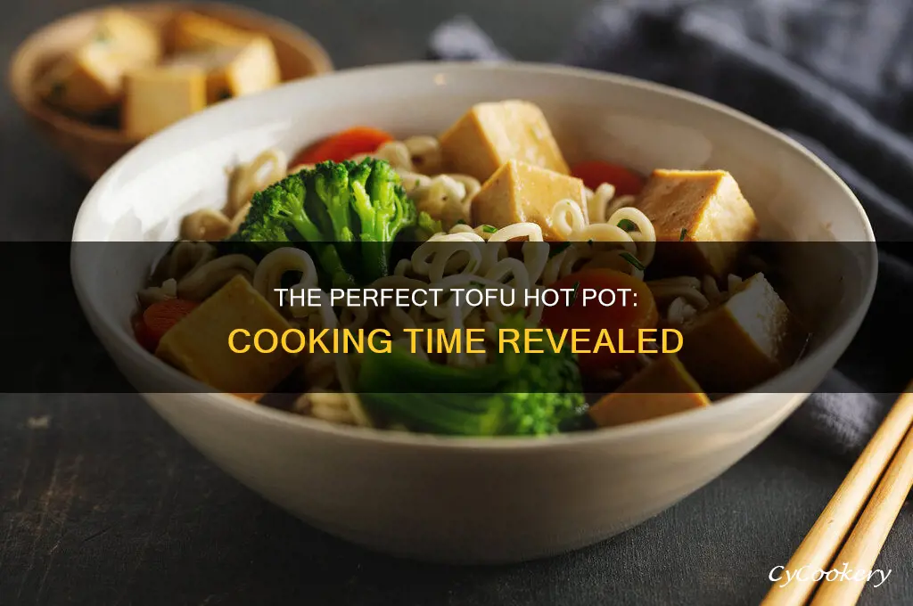 how long to cook tofu in hot pot