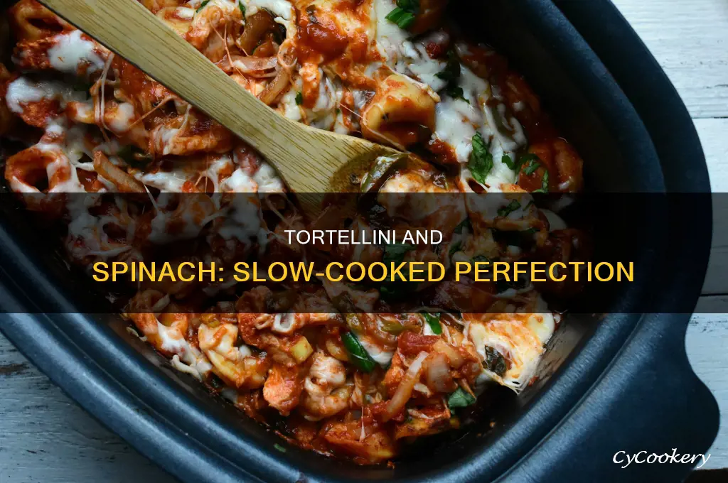 how long to cook tortellini in crock pot with spinach