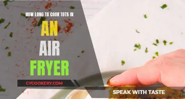 Air Fryer Tots: Perfect Timing for Crunchy Treats