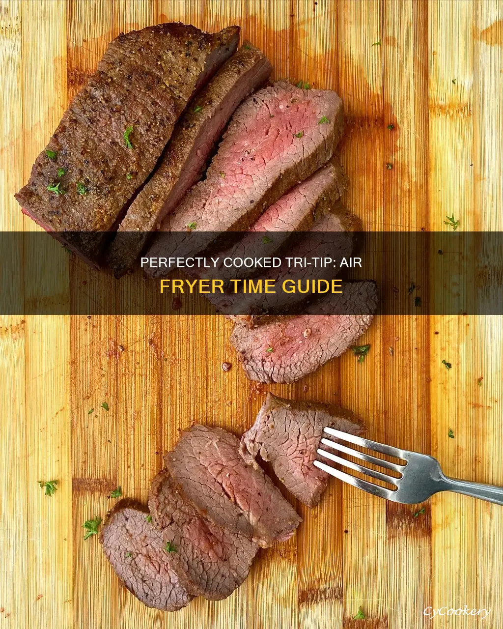 how long to cook tri tip air fryer