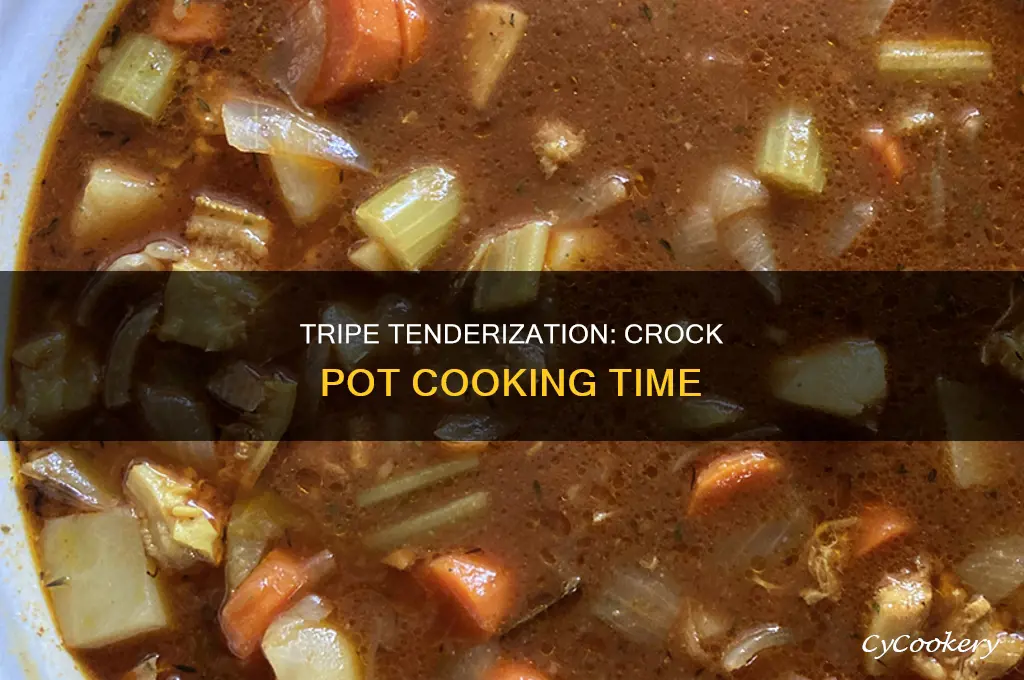 how long to cook tripe in crock pot