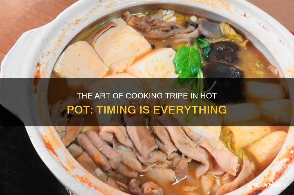 how long to cook tripe in hot pot