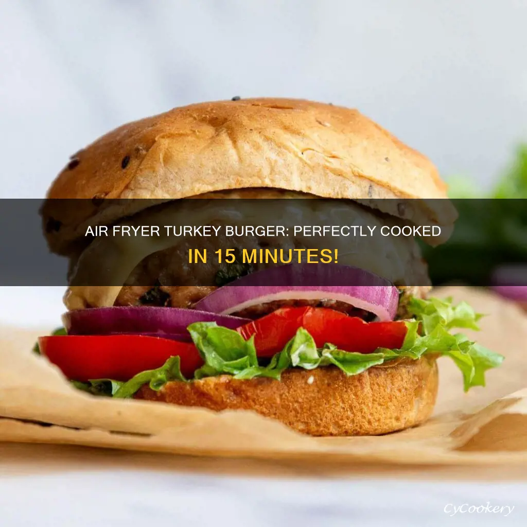 how long to cook turkey burger in air fryer