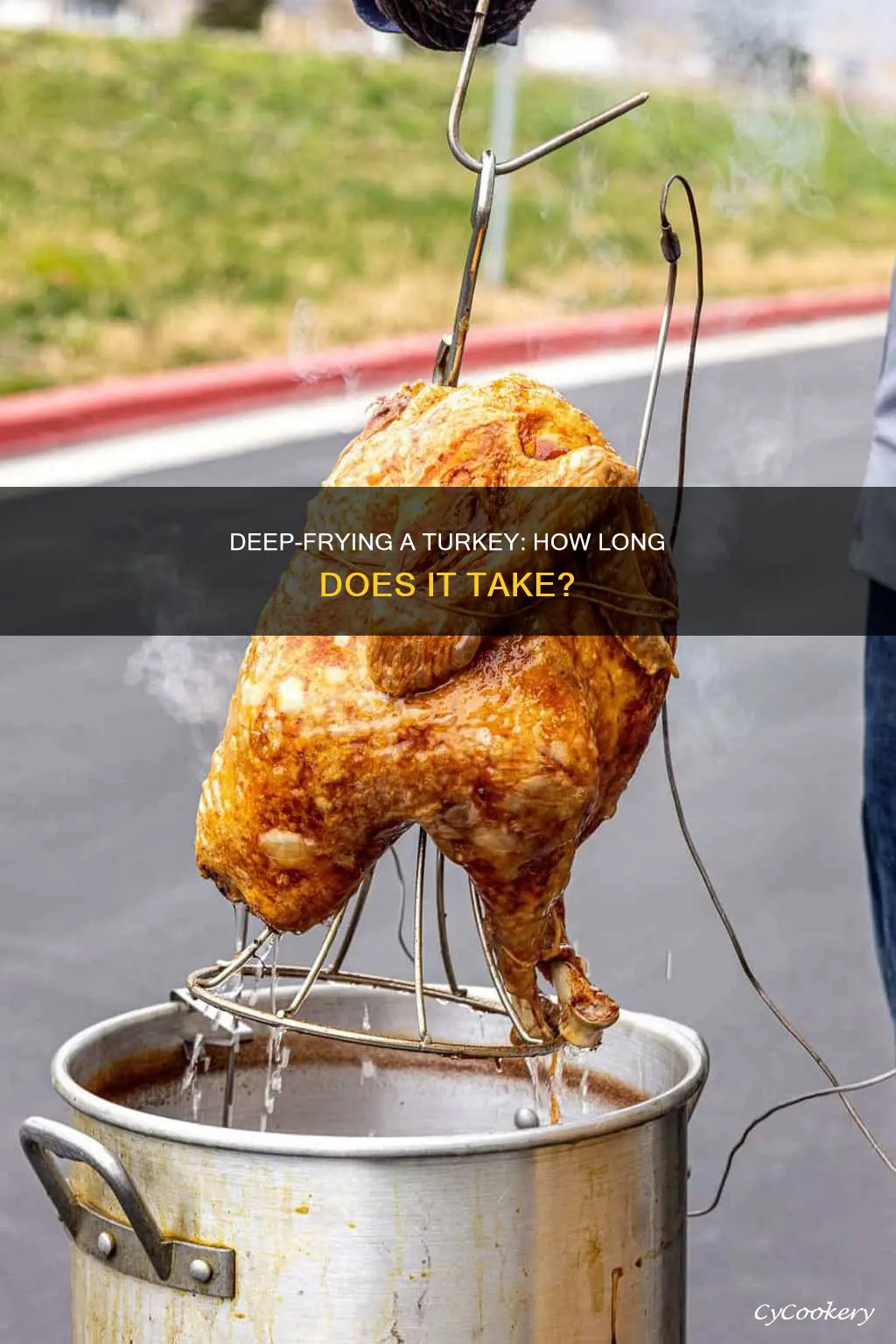 how long to cook turkey deep fryer
