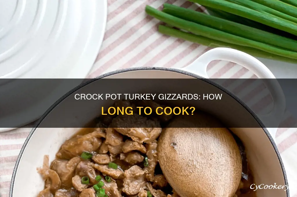 how long to cook turkey gizzards in crock pot