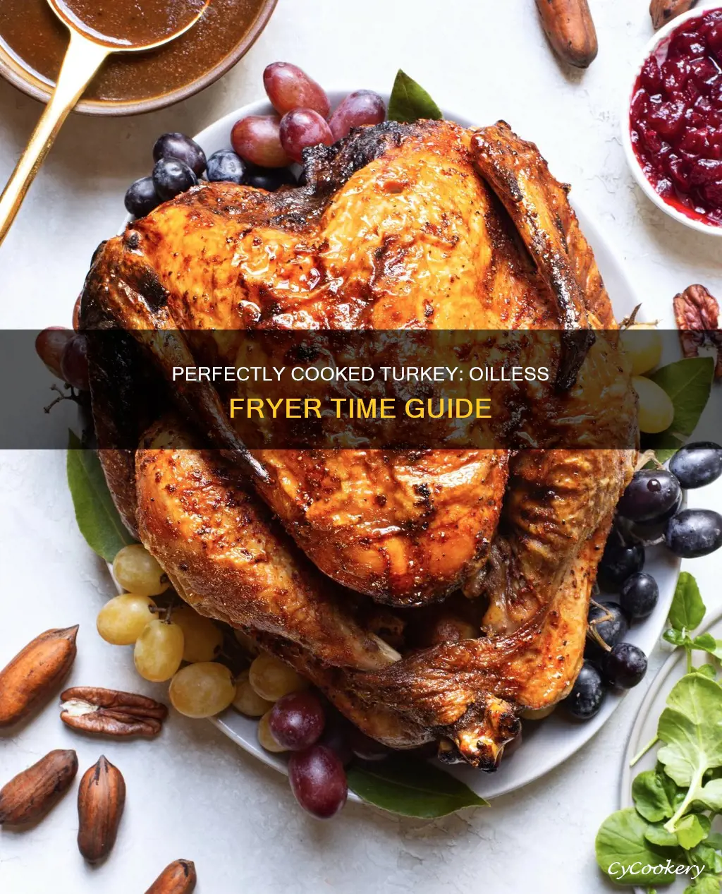 how long to cook turkey in charbroil oilless fryer