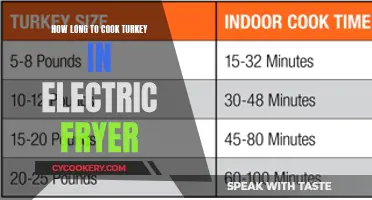 Frying Turkey Safely: Electric Fryer Timing and Tips