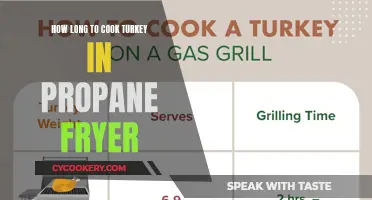 Mastering the Perfect Turkey: Propane Fryer Cooking Time Guide