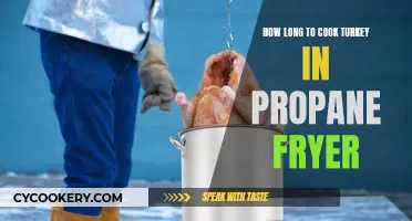 Propane Fryer: Quick Turkey Cooking Time and Techniques