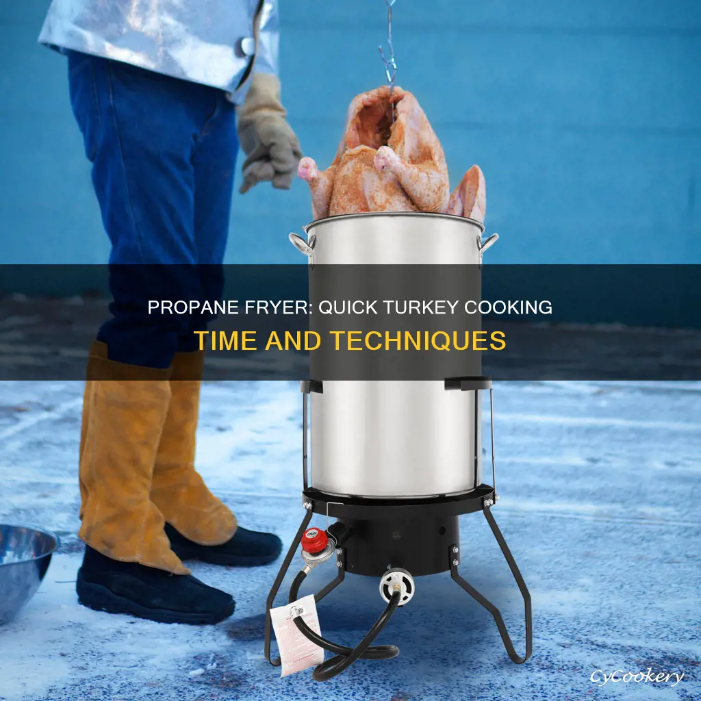 how long to cook turkey in propane fryer