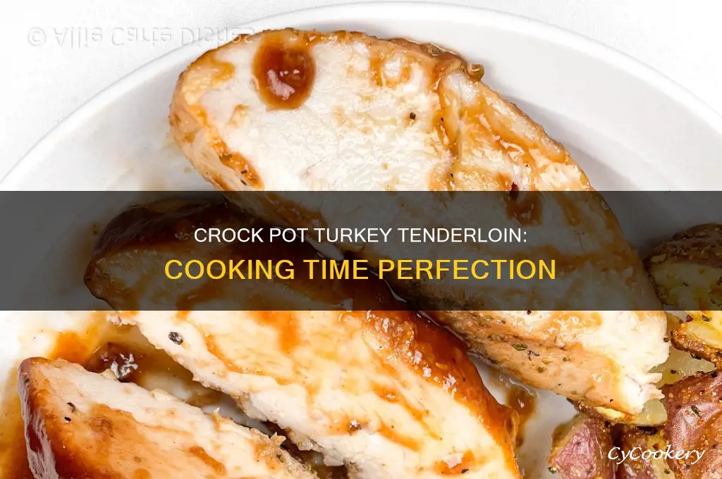 how long to cook turkey tenderloin in a crock pot