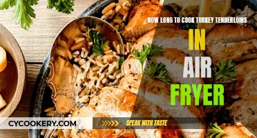 Air Fryer Turkey Tenderloins: Perfect Timing for Juicy Meat