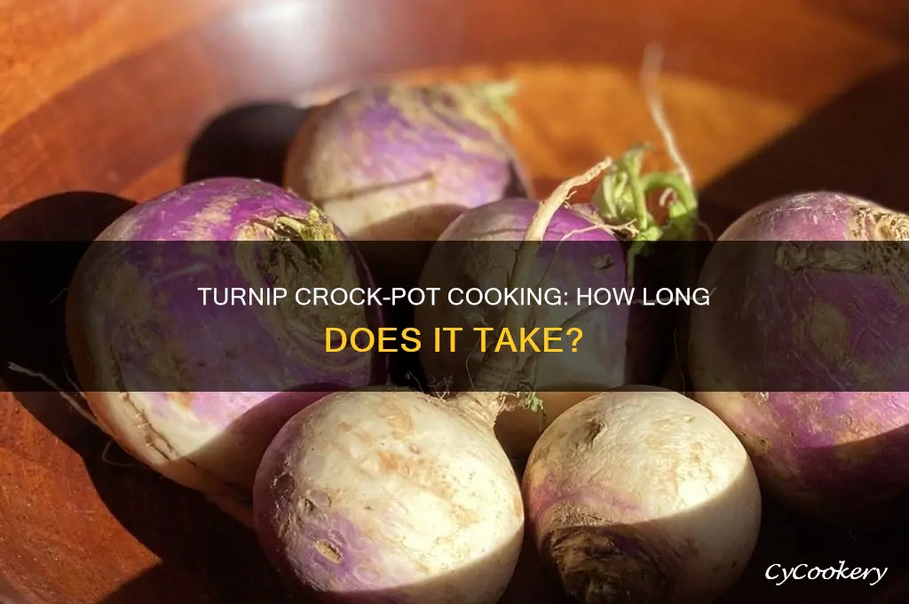 how long to cook turnips in crock pot