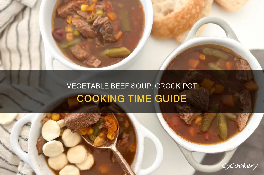 how long to cook vegetable beef soup in crock pot