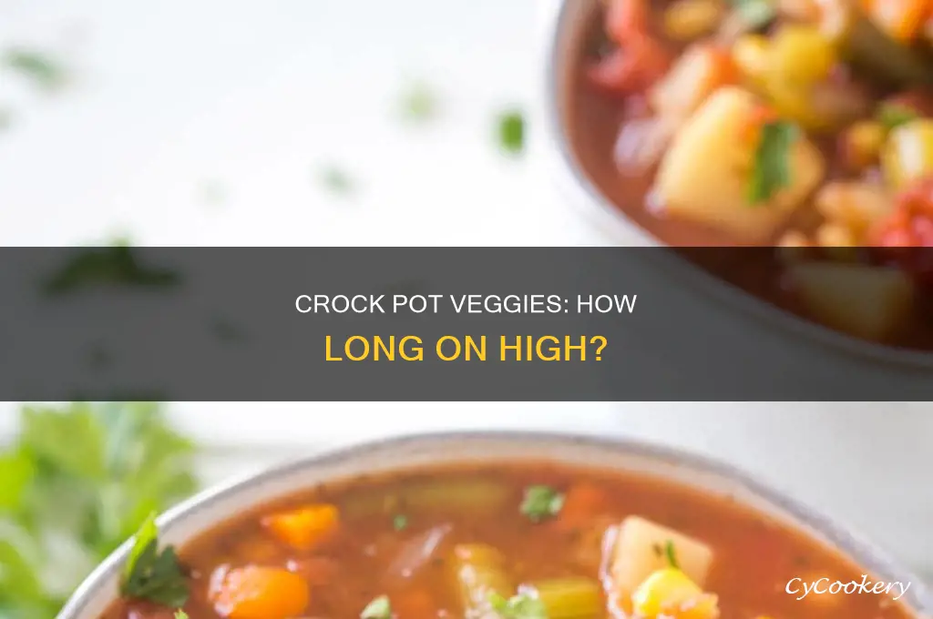 how long to cook vegetables in crock pot on high