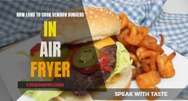 Air Fryer Venison Burgers: Quick, Tasty, and Easy to Master