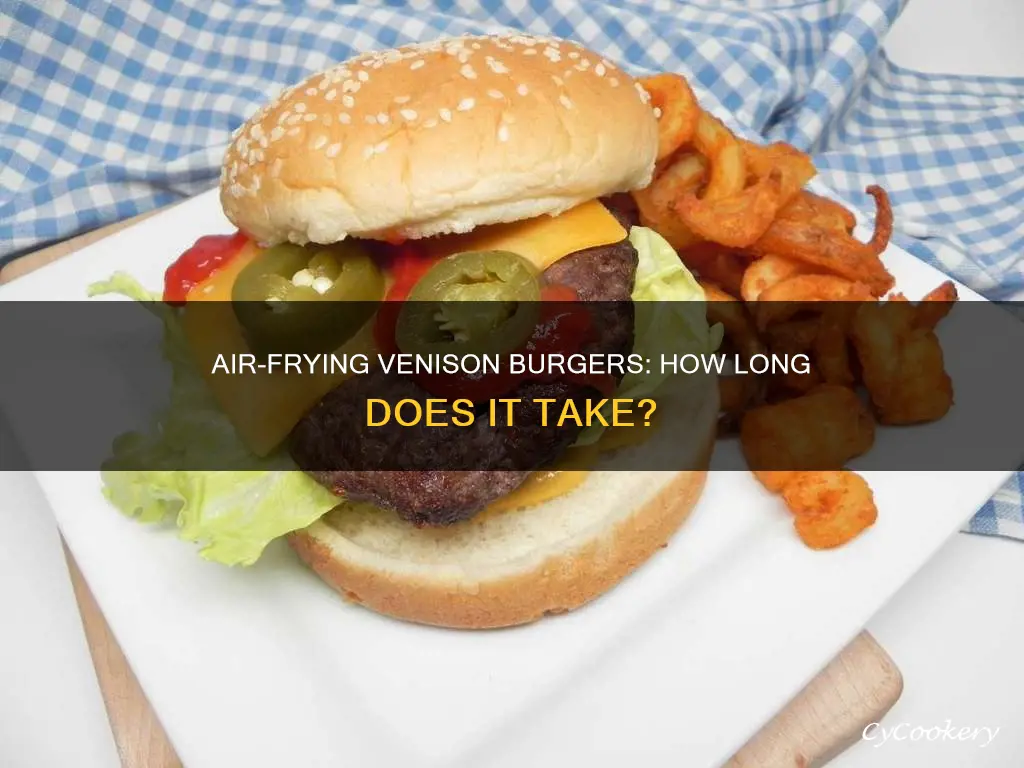 how long to cook venison burgers in air fryer