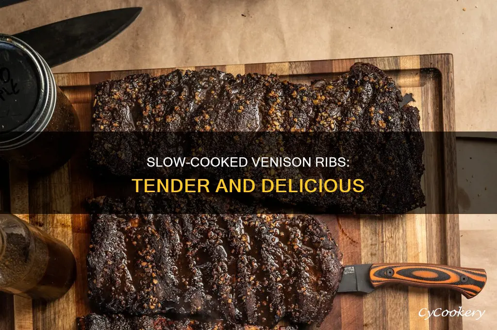how long to cook venison ribs in crock pot