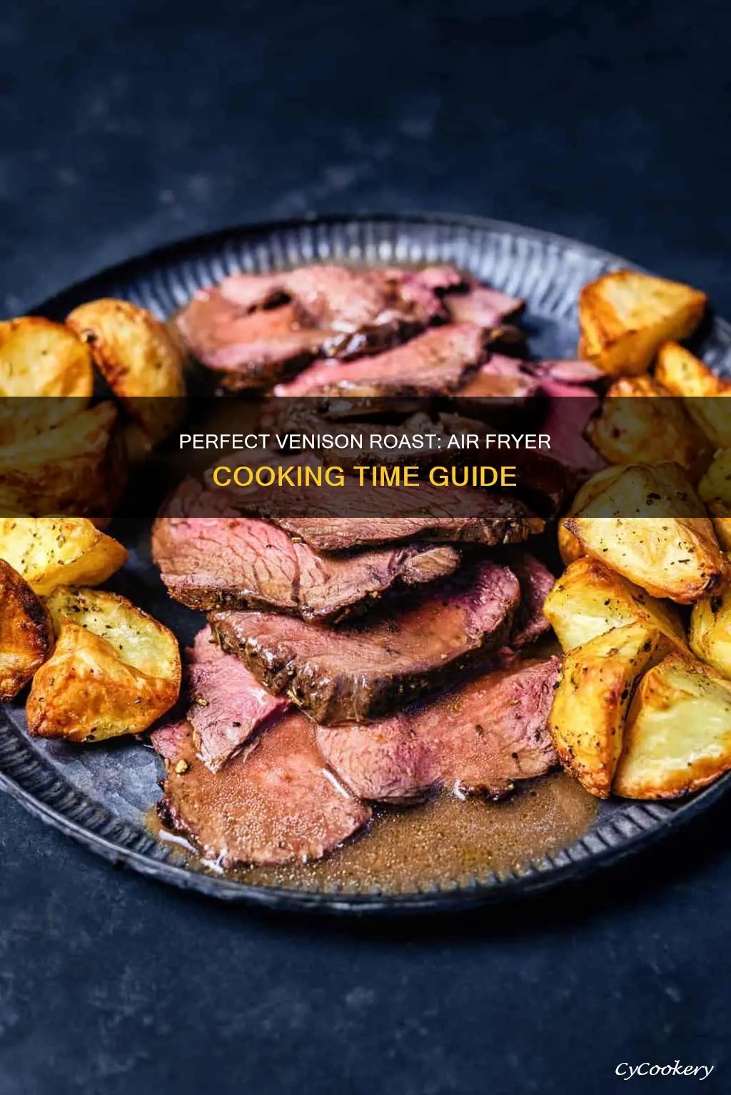 how long to cook venison roast in air fryer