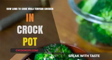 Easy Teriyaki Chicken in a Crock Pot