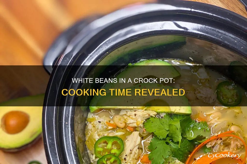 how long to cook white beans in a crock pot