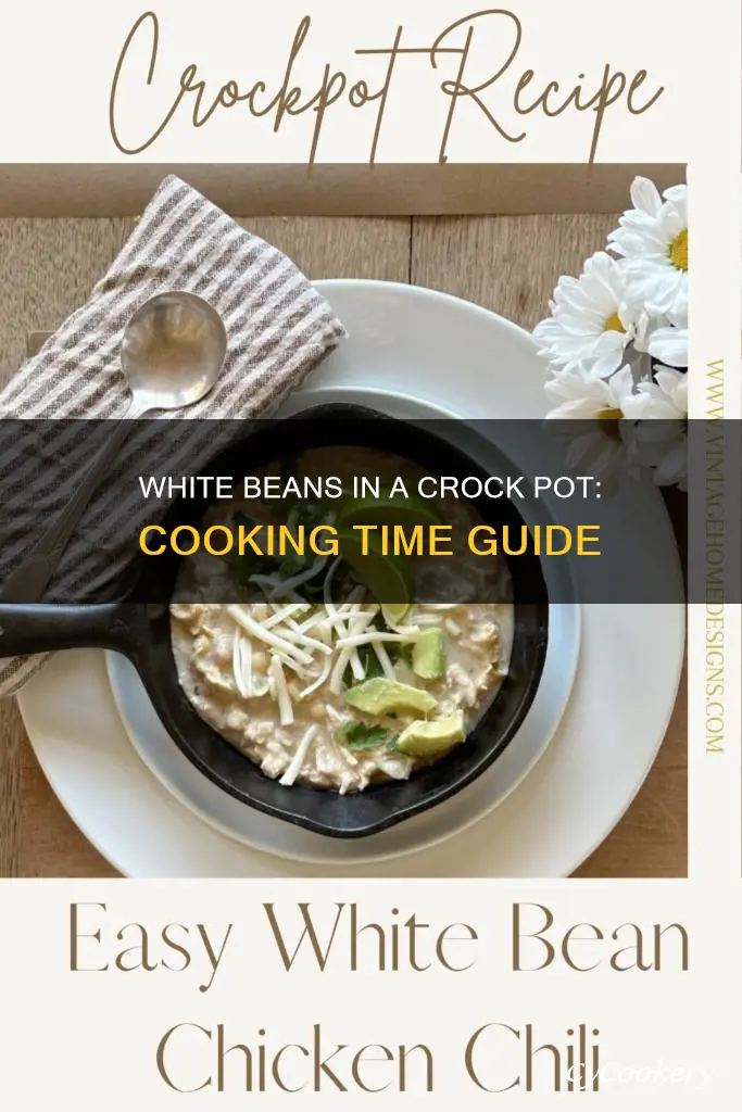 how long to cook white beans in crock pot
