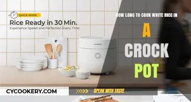 Cooking White Rice: Crock-Pot Timing and Techniques