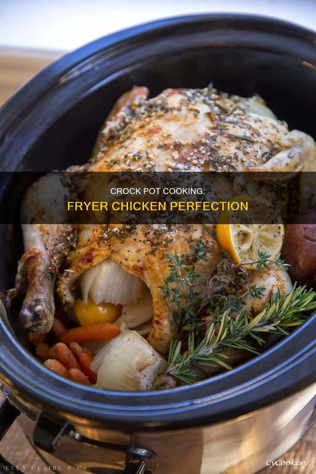 how long to cook whole fryer in crock pot