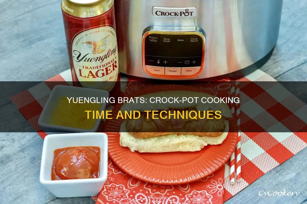 how long to cook yuengling brats in crock pot