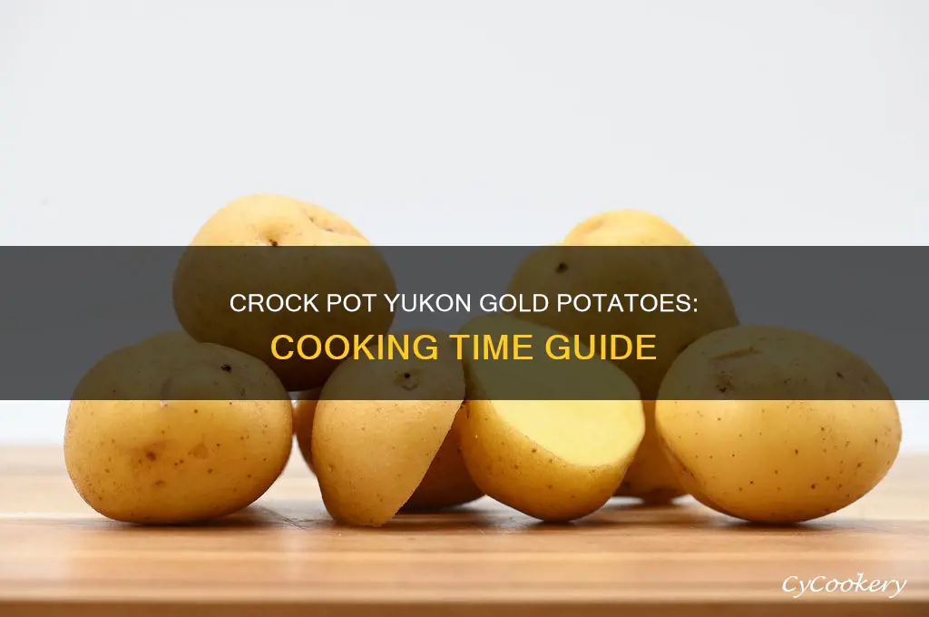 how long to cook yukon gold potatoes in crock pot