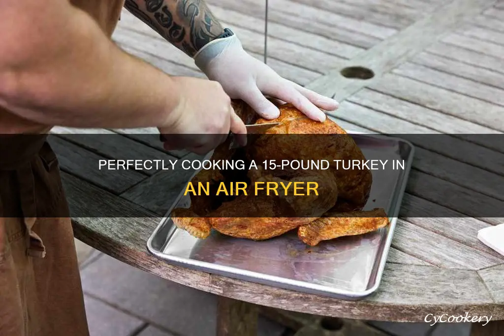 how long to cooka 15 pound turkeyin a oiless fryer