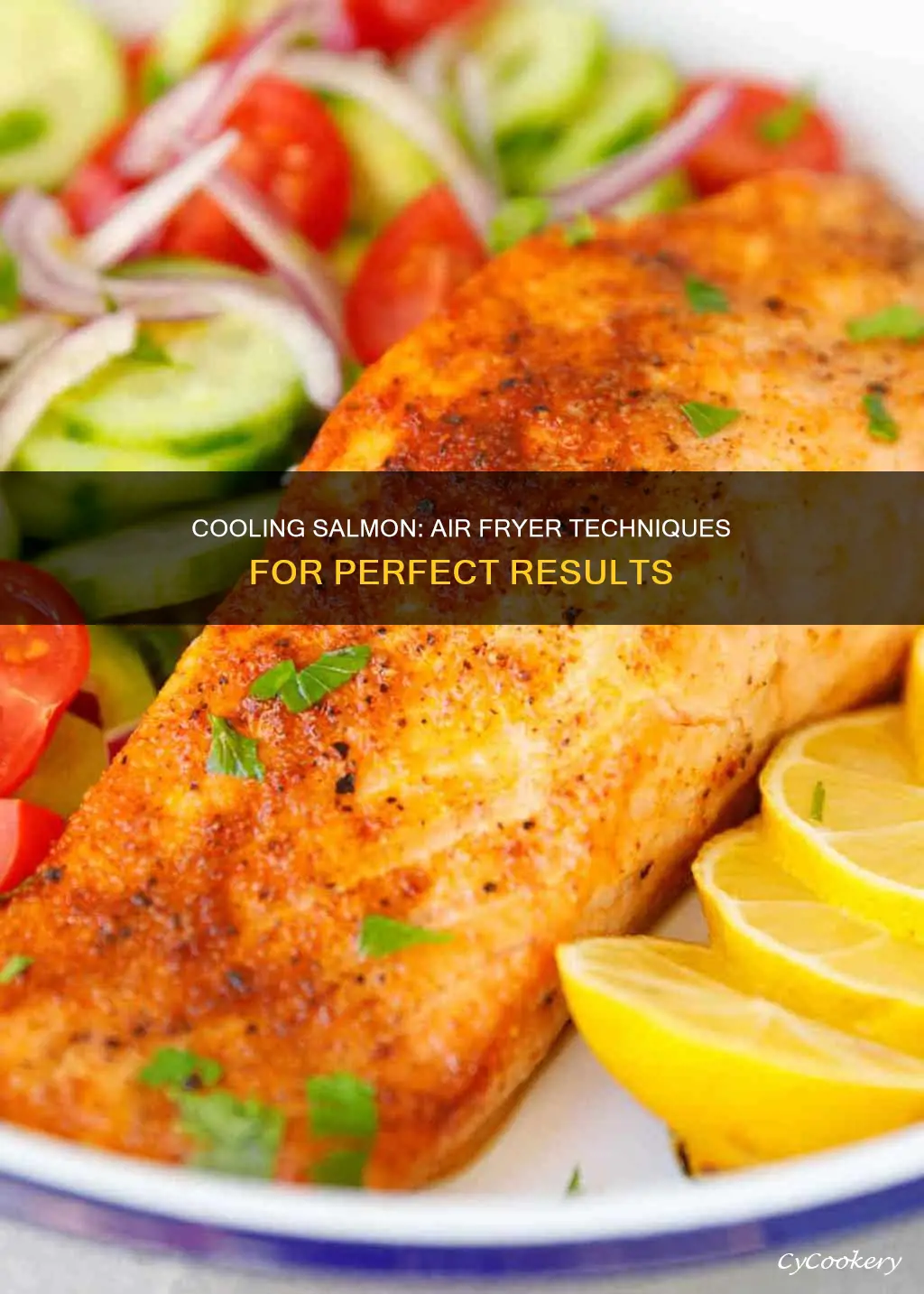 how long to cool salmon in air fryer