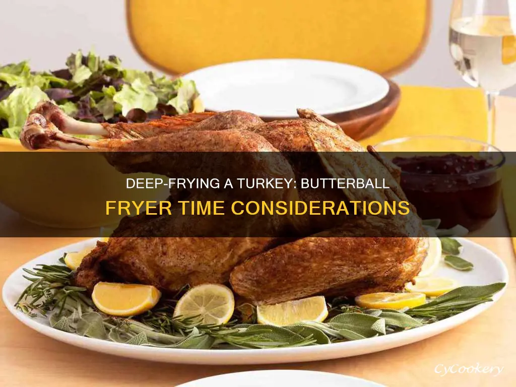 how long to deep fry a turkey in butterball fryer