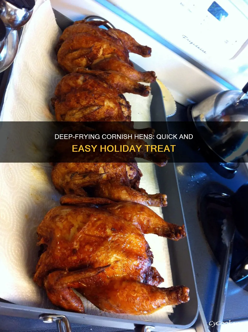 how long to deep fry cornish hen in turkey fryer