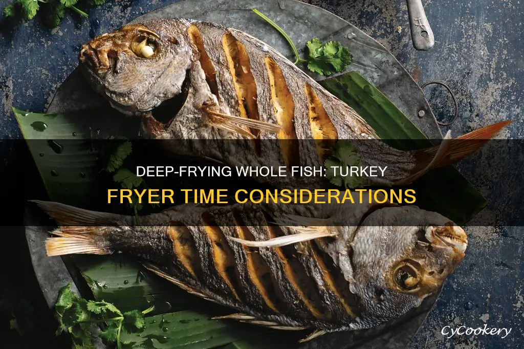 how long to deep fry whole fish in turkey fryer