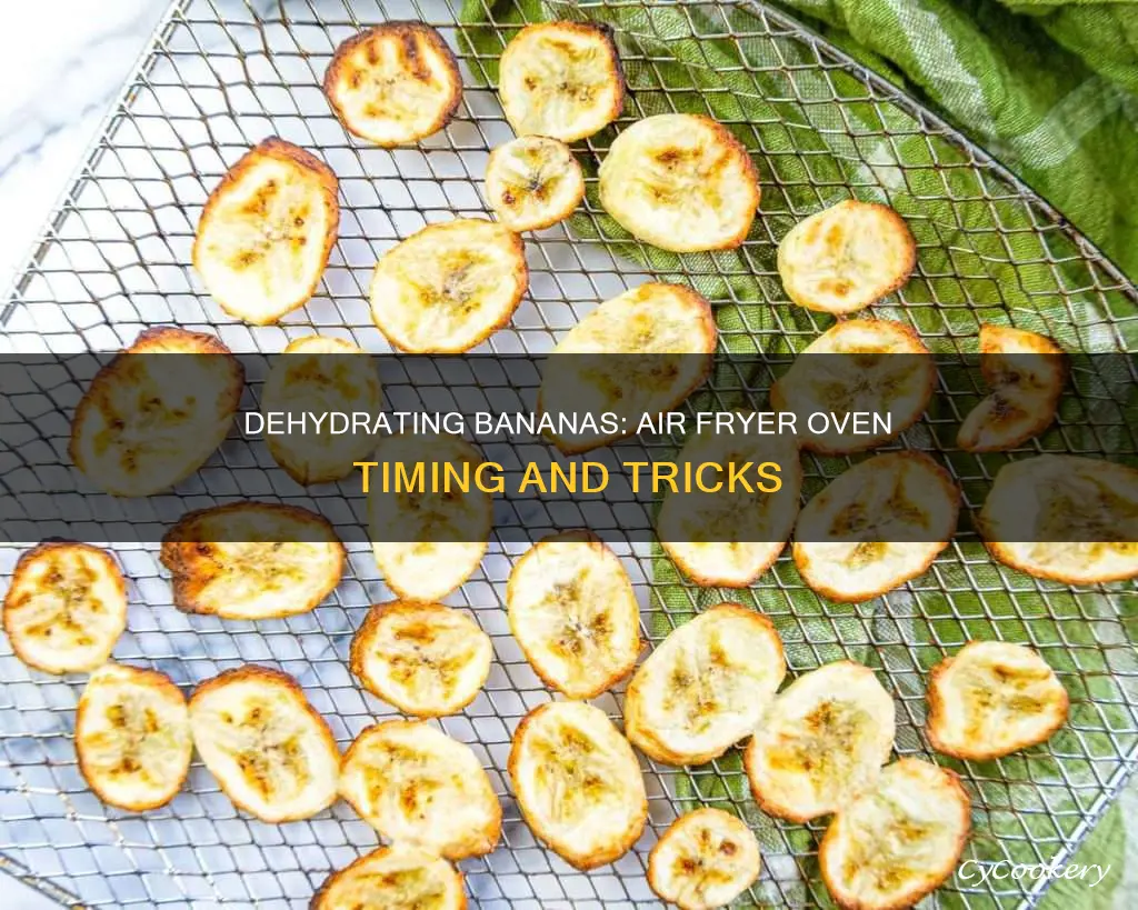 how long to dehydrate bananas in air fryer oven