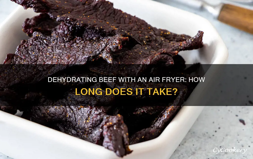 how long to dehydrate beef in air fryer