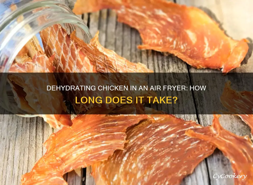 how long to dehydrate chicken in air fryer