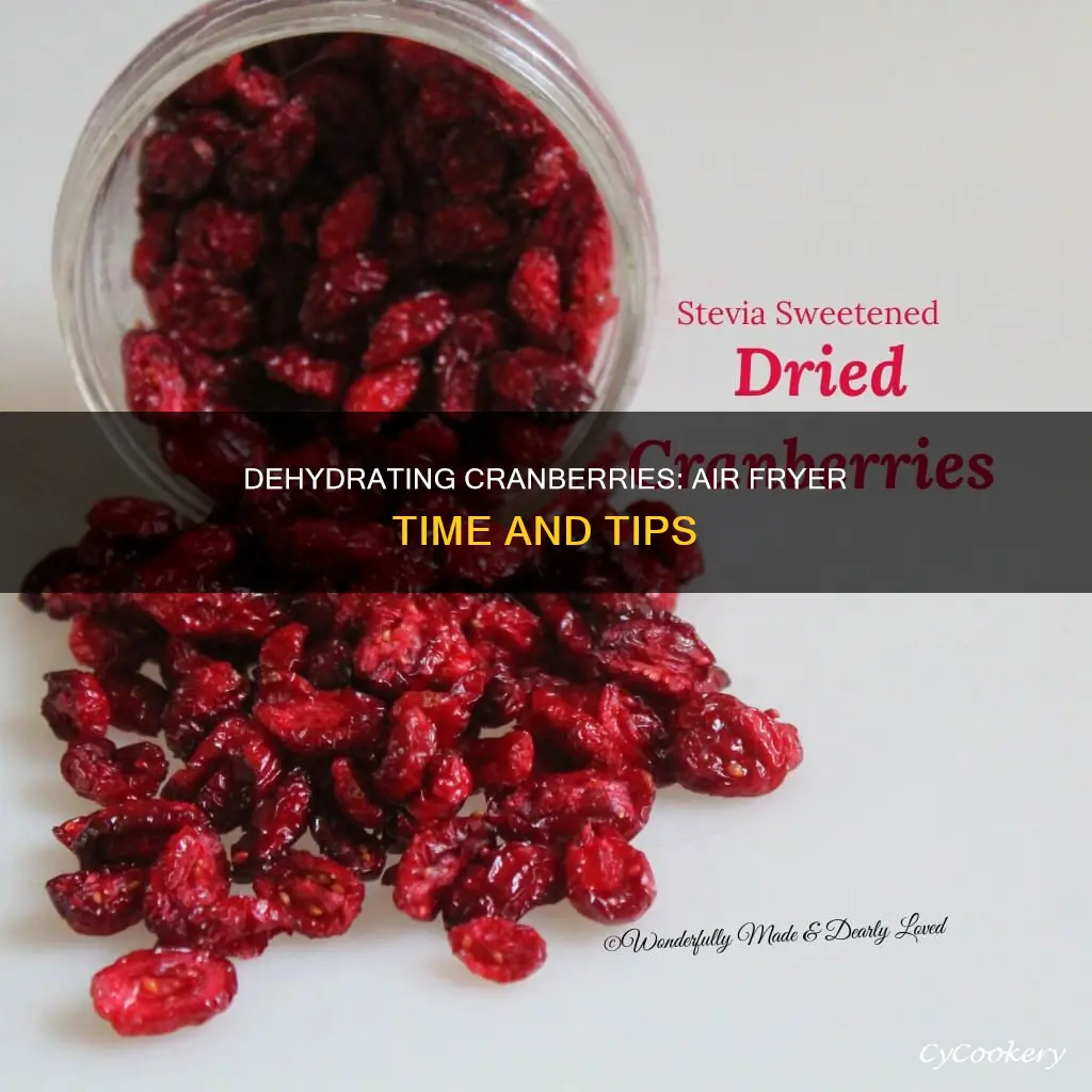 how long to dehydrate cranberries in air fryer