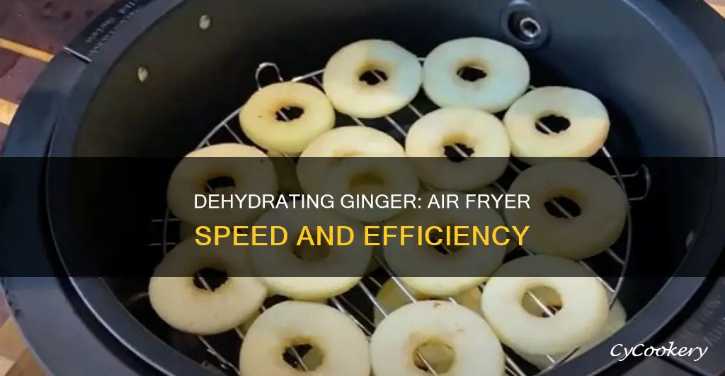 how long to dehydrate ginger in air fryer